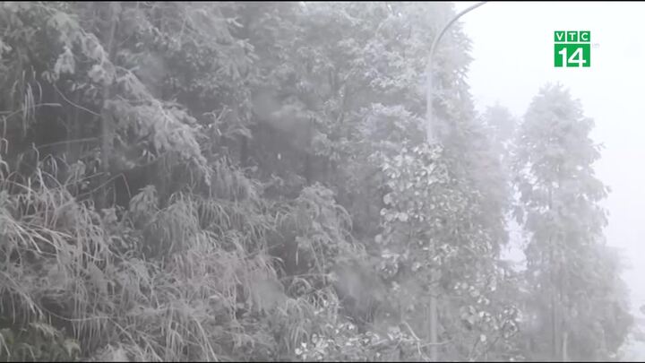 Không khí lạnh tăng cường, rét đậm rét hại kéo dài 5 ngày nữa