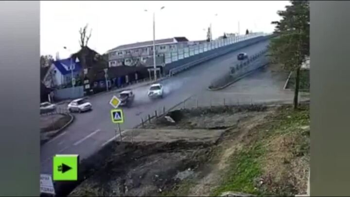 Kỳ lạ 2 chú chó chuyên hóng tai nạn tại giao lộ tử thần