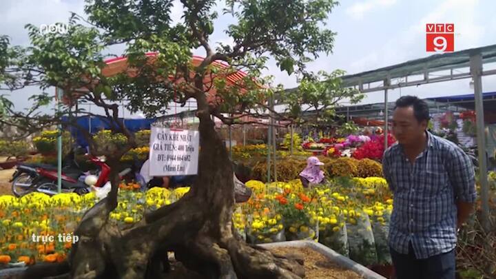 Rao bán 'khế chó' 400 triệu đồng trên đảo ngọc Phú Quốc