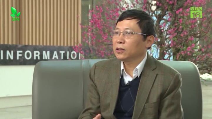 Năm Mậu Tuất: Mưa bão xuất hiện sớm hơn và phức tạp hơn