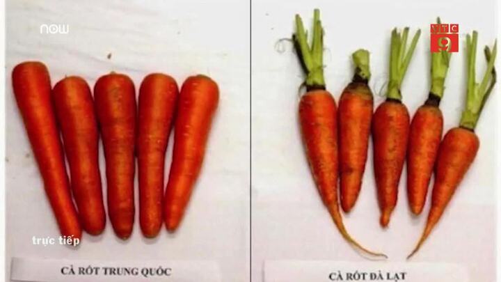 Cách phân biệt cà rốt ta và cà rốt Trung Quốc