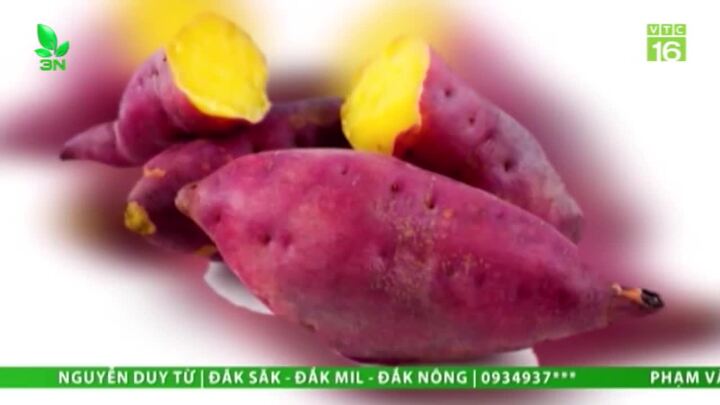 Video: Những loại siêu thực phẩm quen thuộc với người Việt nhưng ít ai biết