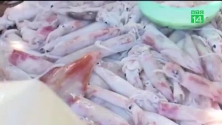 Mực ngâm trong nước: Nguy cơ gây ngộ độc thực phẩm