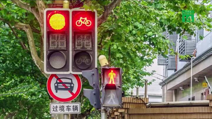 Đi bộ sai luật phải lên mạng xã hội xin lỗi, đủ 20 'likes' mới được tha