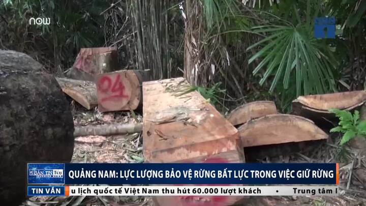 Lâm tặc 'thảm sát' rừng Quảng Nam: Bảo vệ rừng không hay biết
