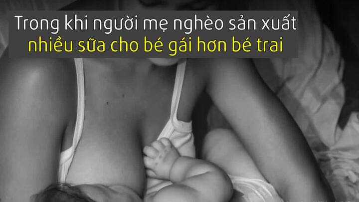 Tại sao bé trai và bé gái lại nhận dinh dưỡng khác nhau từ sữa mẹ?