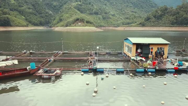 Tổ hợp bè cá của nông dân Thái Nguyên thu 5 tỷ đồng/năm nhìn từ flycam