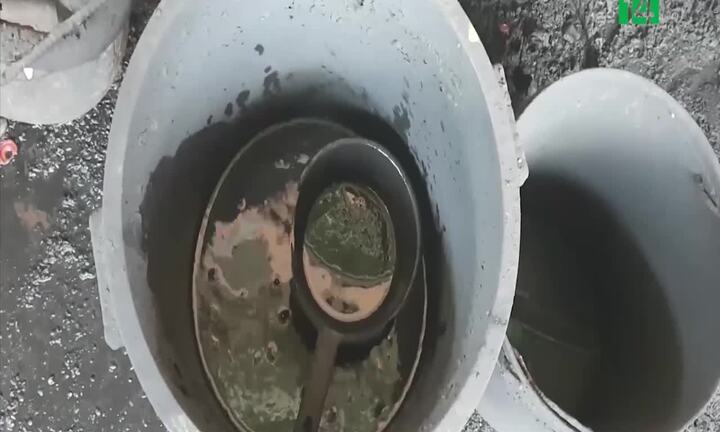 Bộ NN&PTNT thành lập tổ xác minh cà phê trộn lõi pin