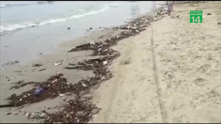 Video: Hãi hùng bãi biển Đà Nẵng ngập ngụa rác ngày nghỉ lễ