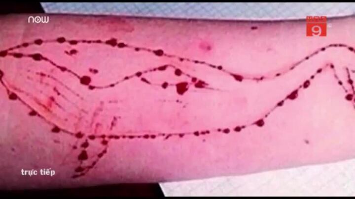 Trò chơi nguy hiểm 'Cá voi xanh' xuất hiện tại Tiền Giang