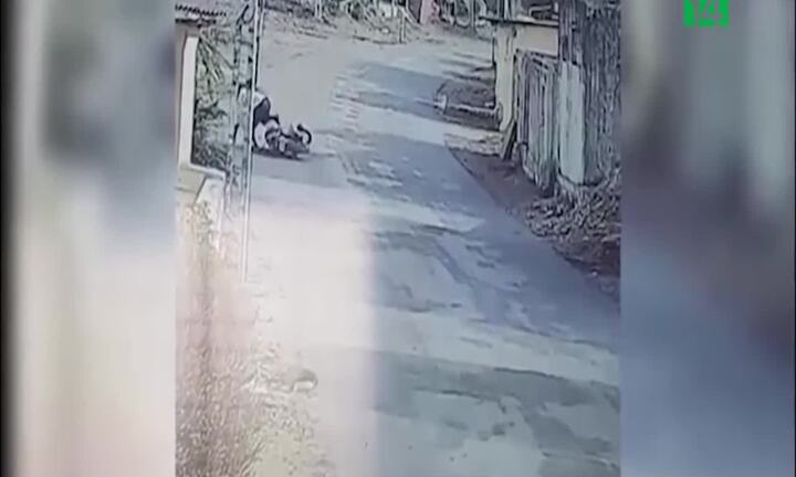 Cả làng bỏ chạy vì bị khỉ dữ tấn công