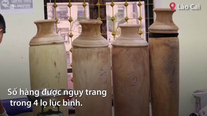 Thu giữ 20 kg sừng tê giác ngụy trang trong lọ lục bình