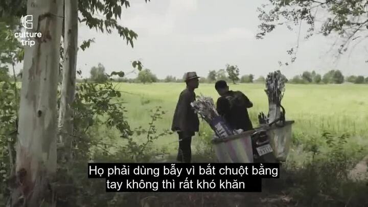 Người Campuchia: 'Chuột nướng ngon hơn cả thịt gà, lợn'