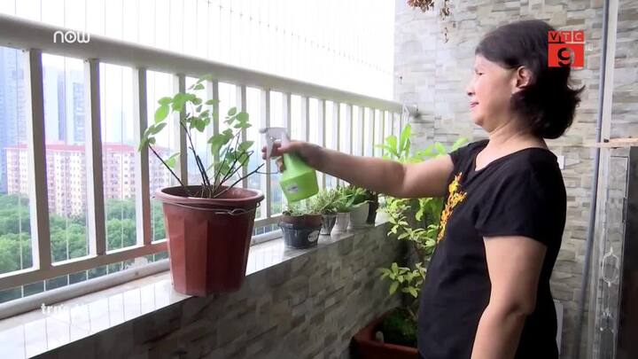 Nỗi niềm của người già rời quê lên phố trông cháu