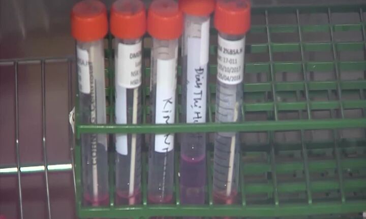 Vì sao cúm A/H1N1 lây lan nhanh ở các tỉnh phía Nam?