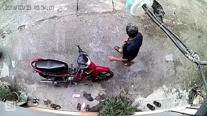 Clip: Người đàn ông đi đường suýt bị hai con chó lao vào cắn