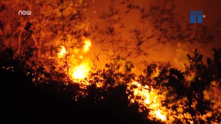 Hà Tĩnh: Rừng thông cháy ngùn ngụt, hàng trăm người cứu hỏa trong đêm