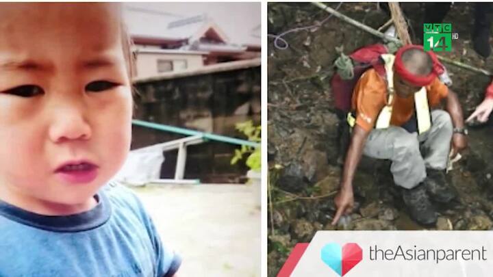 Lạc trong rừng 3 ngày, cậu bé 2 tuổi ở Nhật Bản vẫn sống sót