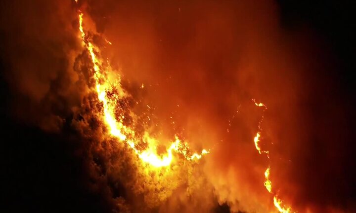 Video: Cháy lớn ở rừng Hà Tĩnh, di dời khẩn cấp 100 hộ dân