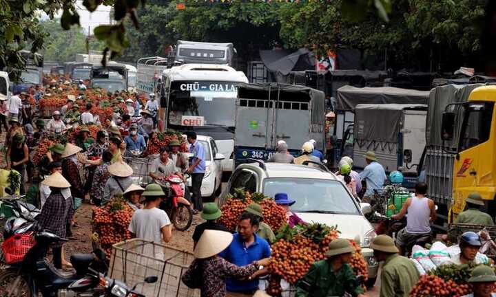 Cảnh giao thông chật vật khi vải thiều ùn ùn đổ về chợ ven quốc lộ