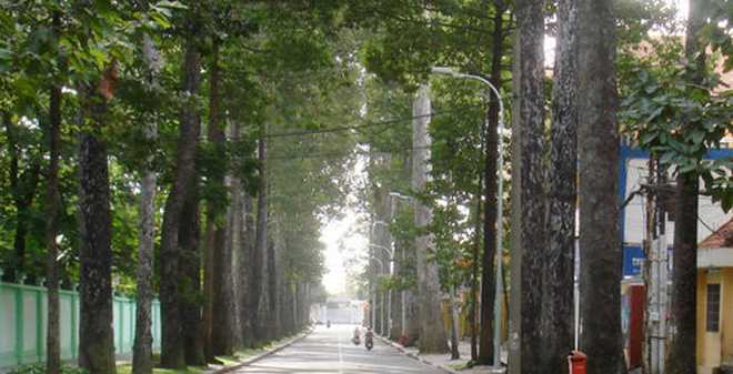 TP.HCM có tên đường Võ Chí Công, Võ Trần Chí, Nguyễn Cơ Thạch