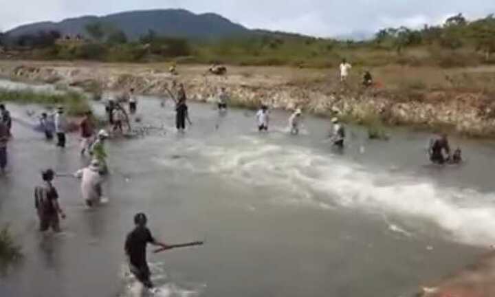 Clip: Dân Bình Thuận đổ xô bắt cá bay từng đàn như trong phim