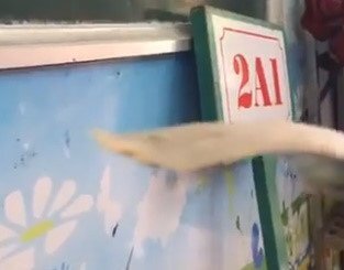 Đề nghị thanh tra suất ăn học sinh có miếng chả ‘mỏng như tờ giấy’