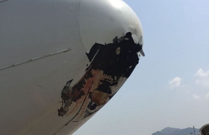 Đấu đầu với chim, máy bay Boeing thủng lỗ lớn