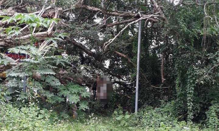 Bị vu trộm điện thoại, người đàn ông lái xe ba gác treo cổ tự tử