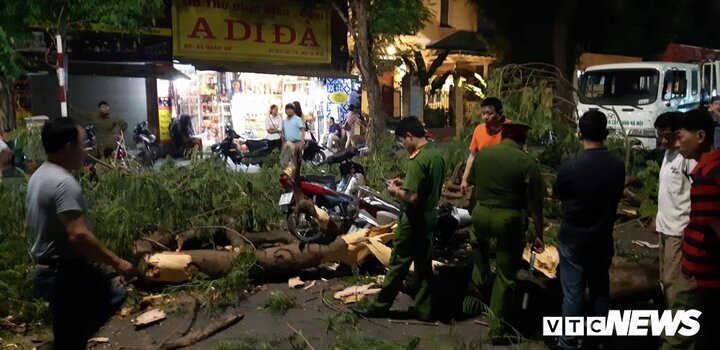Ảnh: Hiện trường vụ cây đổ khiến 5 người bị thương nặng ở Hà Nội