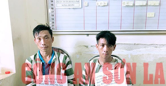 Tóm gọn 2 kẻ vận chuyển 36 bánh heroin tại Sơn La