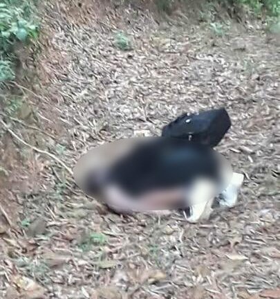 Nam thanh niên chết trong tư thế quỳ gối nơi vắng vẻ