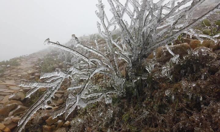 Mẫu Sơn rét 0,9 độ C, mưa lớn diện rộng bao trùm Trung Bộ và Nam Bộ