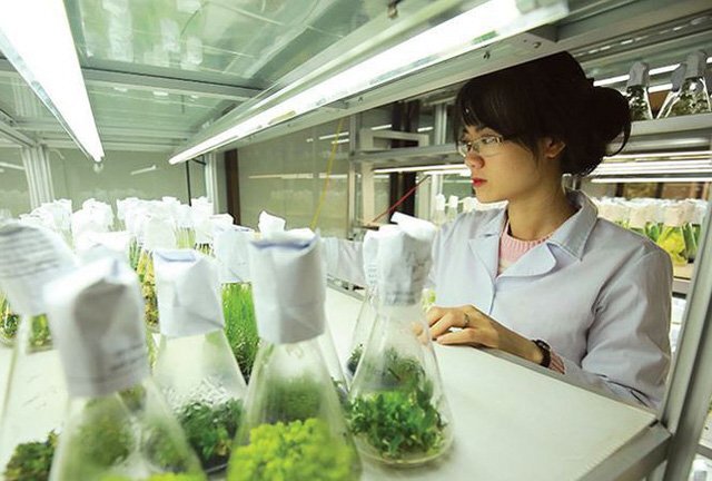 Khuyến khích thành lập các viện nghiên cứu tư nhân