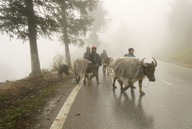Miền Bắc sắp đón không khí lạnh, trời chuyển mưa rét
