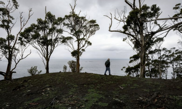 Australia nắng nóng kỷ lục, sinh vật biển bị 'nấu chín'