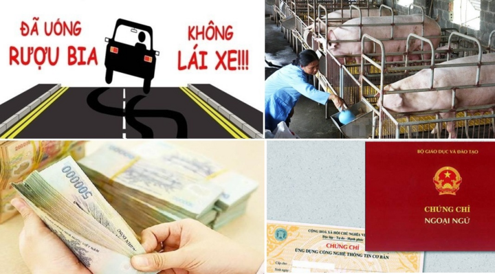 Quy định mới có hiệu lực từ tháng 1/2020 ai cũng cần biết