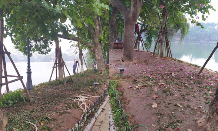 Ảnh: Vườn hoa hồ Hoàn Kiếm tan nát sau đêm giao thừa