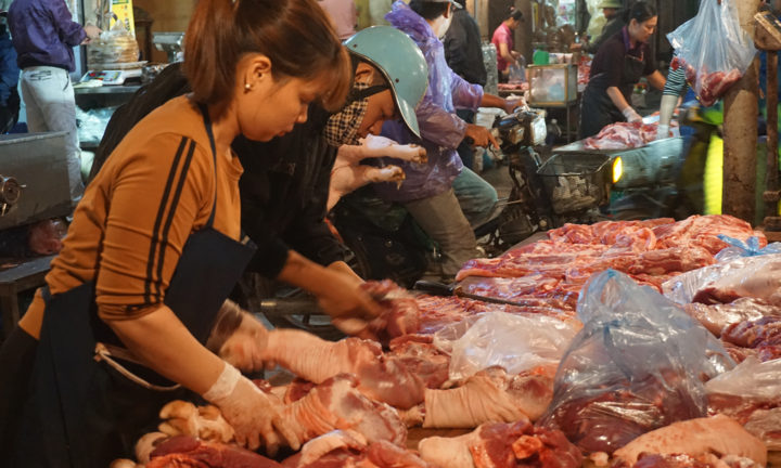 Nguồn cung thịt lợn giảm được dự báo từ đầu năm, sao vẫn để giá tăng cao?