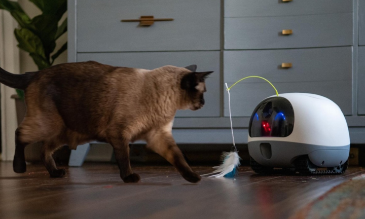 Video: Vắng nhà khỏi lo, robot 'quản gia' sẽ thay bạn chăm sóc, chơi đùa với vật nuôi