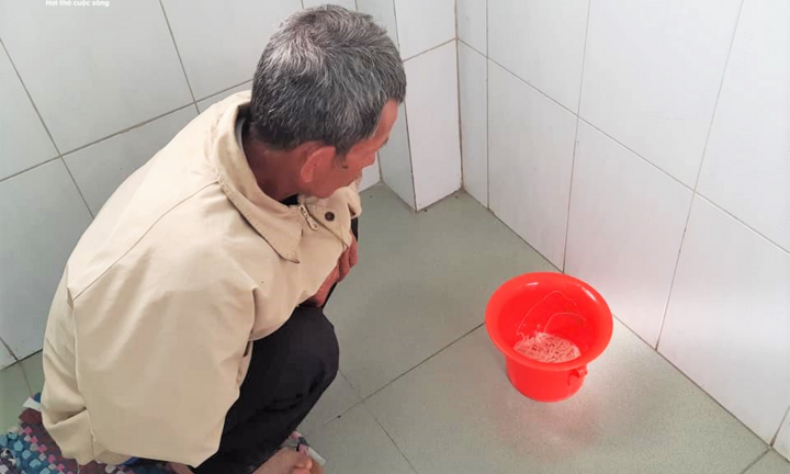 Xổ cùng lúc 2 con sán xơ mít dài hơn chục mét