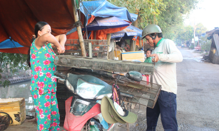 Ảnh: Về miền Tây tham quan chợ thịt chuột độc nhất vô nhị