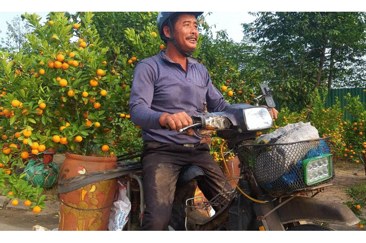 Chở cây cảnh thuê dịp Tết, dân Hà Tĩnh kiếm tiền triệu mỗi ngày