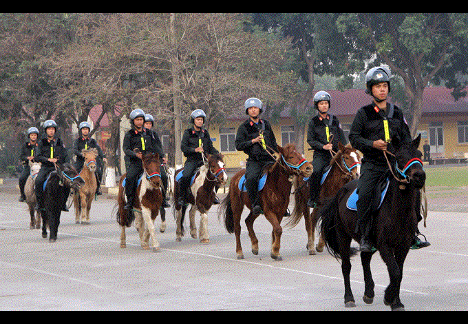 Cảnh sát cơ động thuần dưỡng hơn 100 con ngựa Mông Cổ phục vụ phòng chống tội phạm