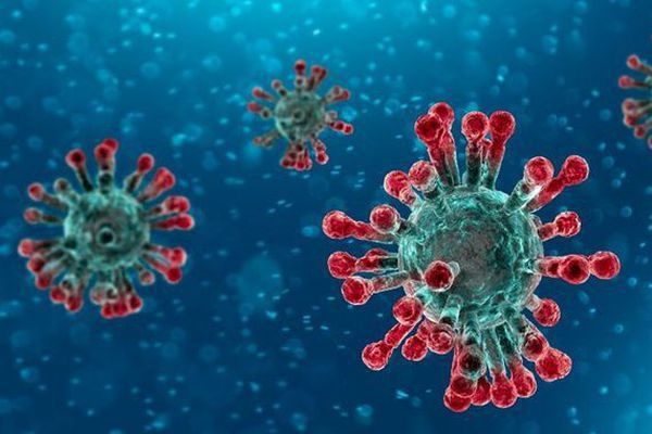 Nhiễu loạn thông tin virus corona, người Việt Nam nên truy cập kênh thông tin nào để có nguồn chính thống?