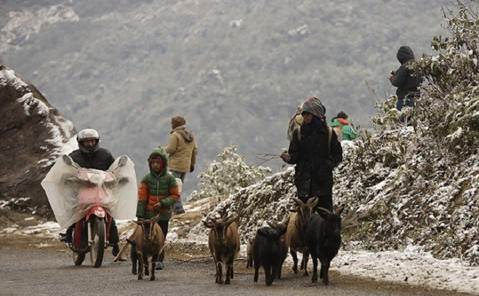 Không khí lạnh tràn về, Bắc Bộ rét đậm rét hại, có nơi xuống 8 độ C