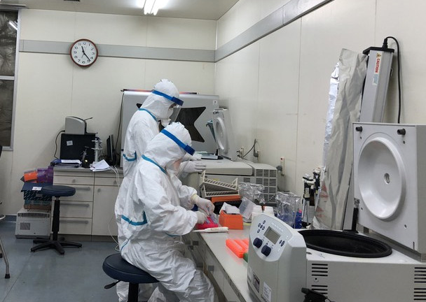 Trắng đêm, xuyên Tết tìm virus corona trong phòng xét nghiệm 