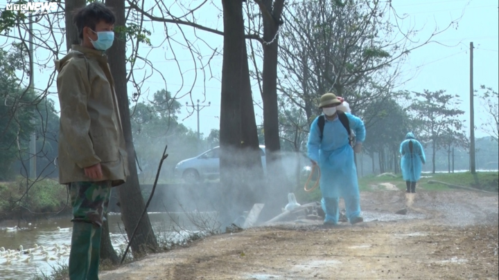 Lập chốt kiểm dịch, phun khử trùng khu vực dịch cúm A/H5N6 ở Hà Nội