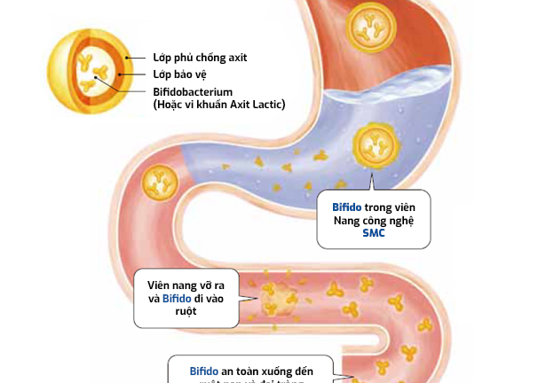 Thoát nỗi khổ viêm đại tràng sau nhiều năm chịu đựng