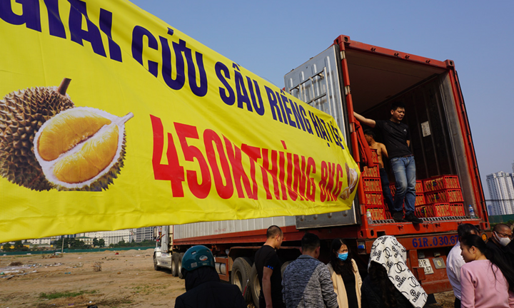 Người Hà Nội chen nhau 'giải cứu' sầu riêng 